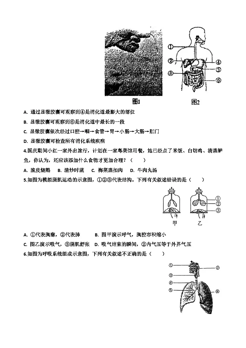 2025~2026学年济南天桥区泺口实验学校八年级上学期12月份生物考试试卷以及答案第2页