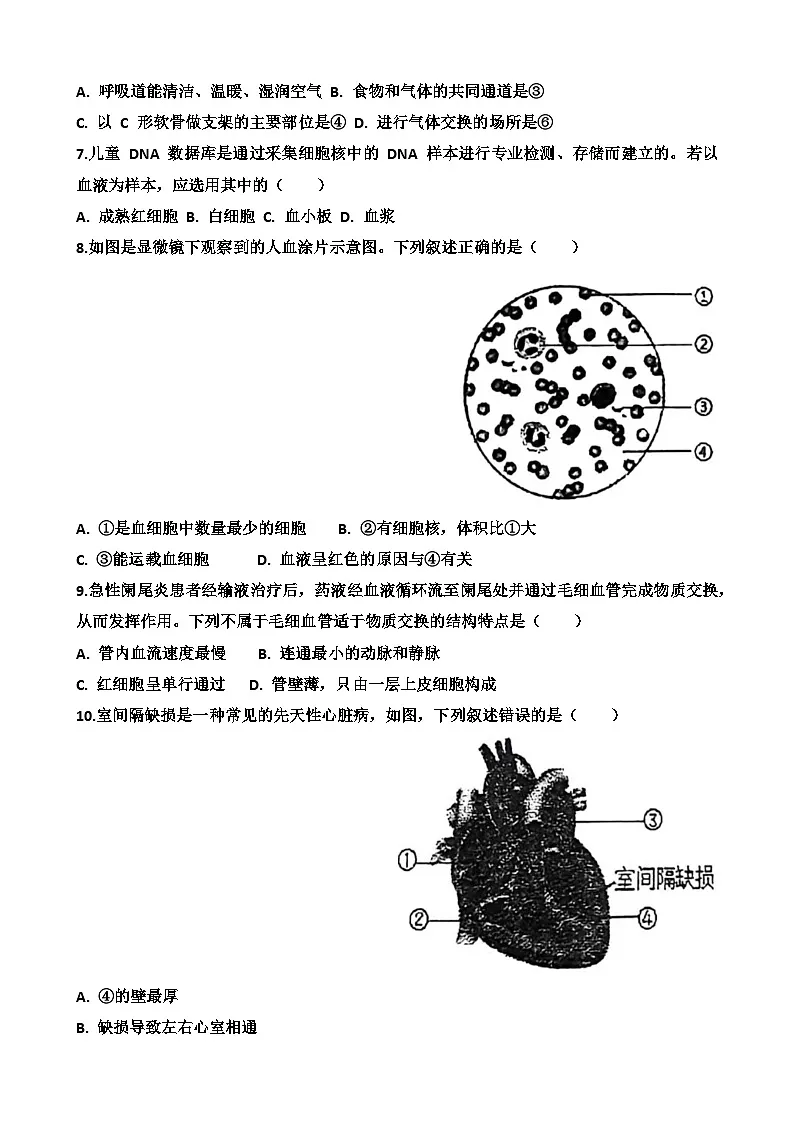 2025~2026学年济南天桥区泺口实验学校八年级上学期12月份生物考试试卷以及答案第3页