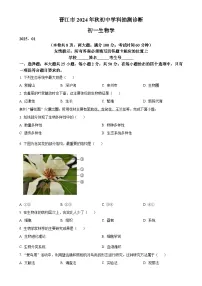 福建省泉州市晋江市七年级上学期期末生物试题（原卷版）-A4