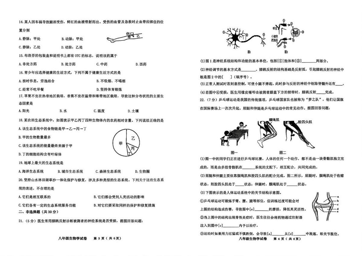 吉林省四平市伊通满族自治县2025-2026学年八年级上学期期末考试生物试题(PDF版,含答案含答题卡)第2页