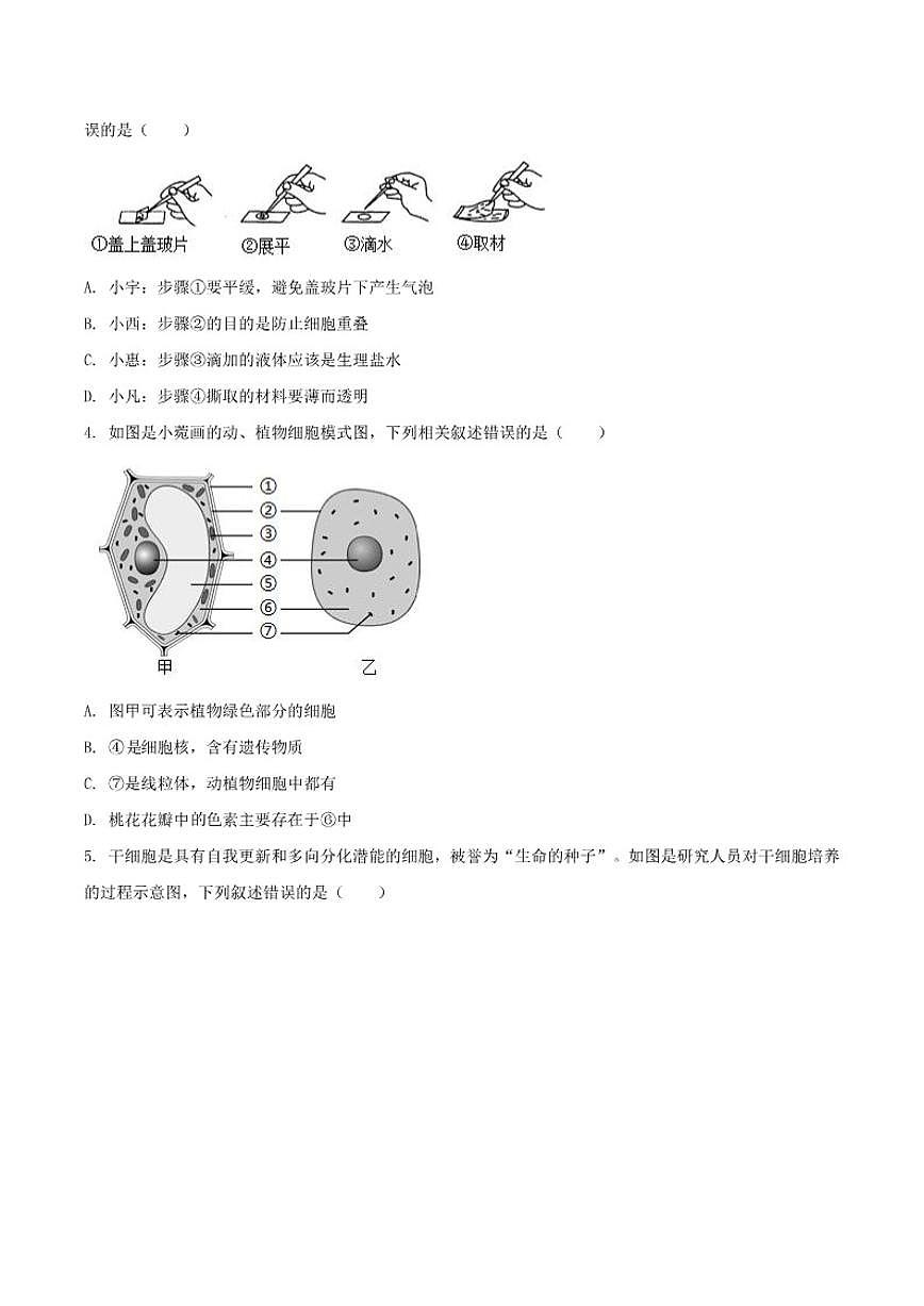 安徽省宿州市部分学校2025-2026学年七年级上学期12月月考生物试卷(含答案)第2页