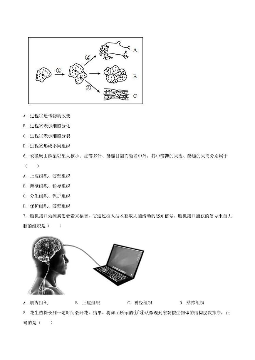 安徽省宿州市部分学校2025-2026学年七年级上学期12月月考生物试卷(含答案)第3页