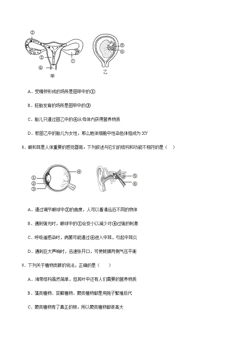 2024年中考生物(河南)第二次模拟考试(含答案)第3页