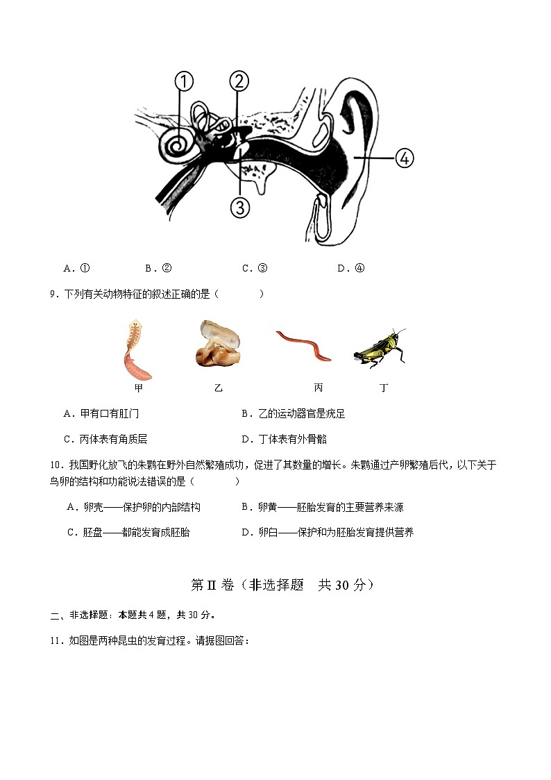 2024年中考生物(湖北省)第三次模拟考试(含答案)第3页