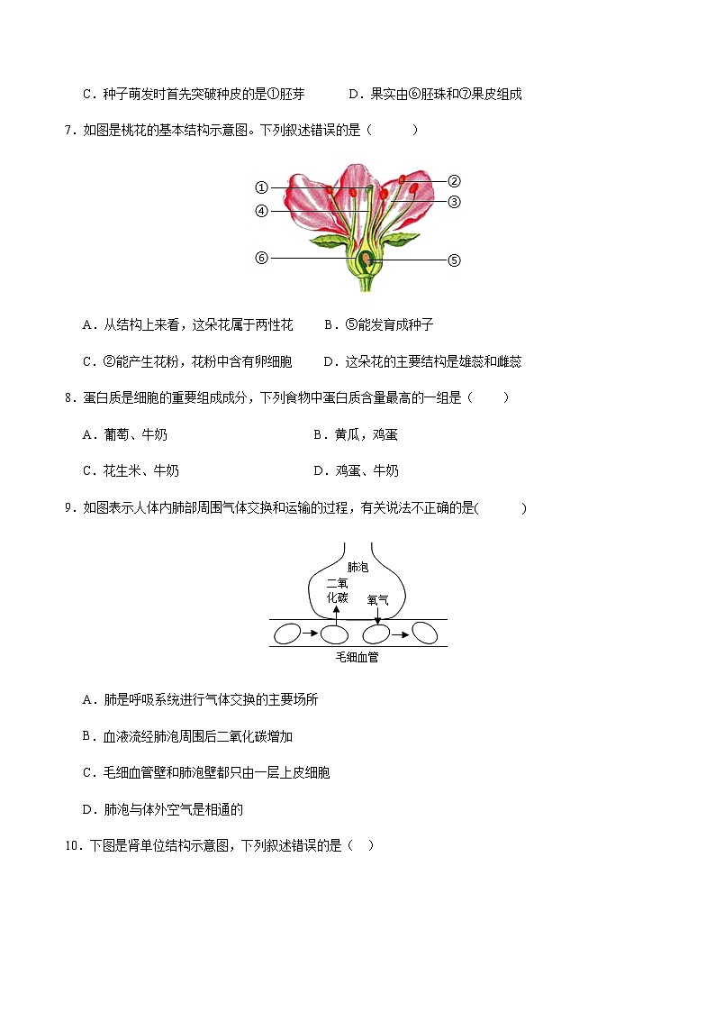 2024年中考生物(全国)第二次模拟考试(含答案)第3页
