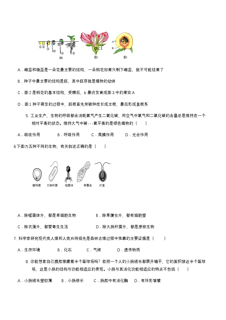 2024年中考生物(吉林长春)第一次模拟考试(含答案)第2页