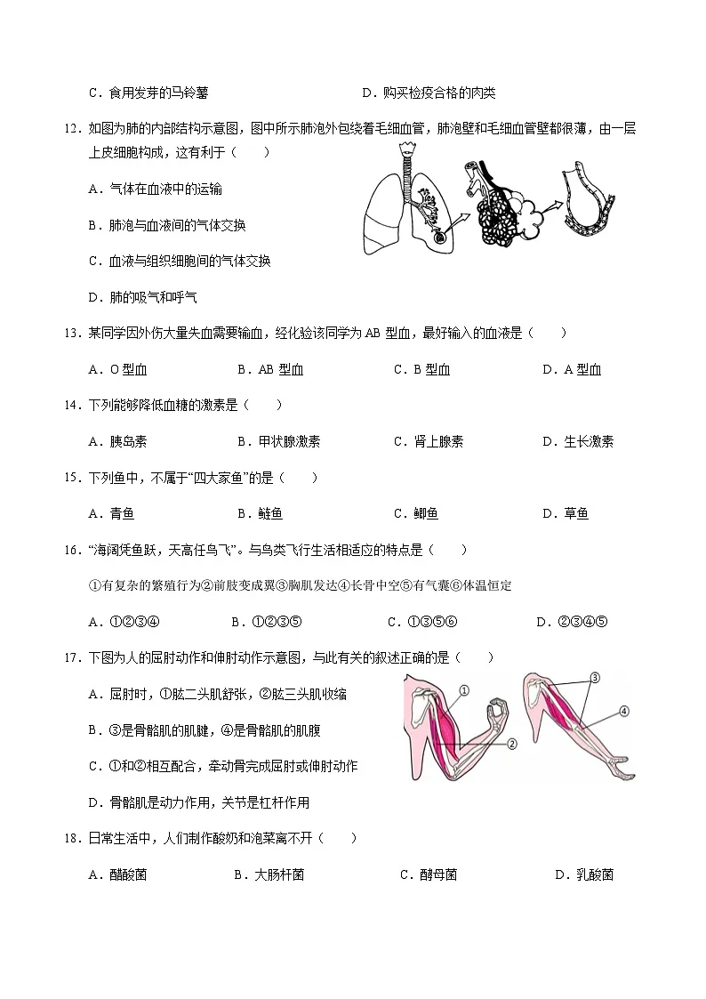 2024年中考生物(天津)第一次模拟考试(含答案)第3页