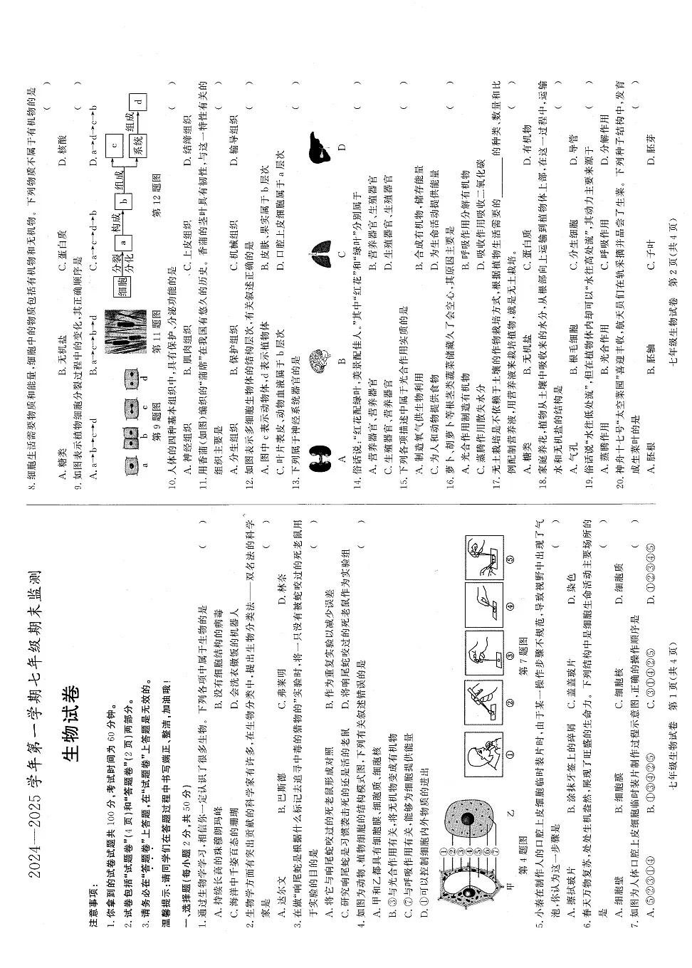 【7生(BS)期末】淮南市2024-2025学年七年级上学期1月期末生物试题第1页