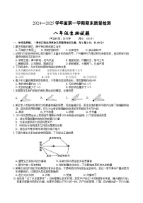 【8生（BS）期末】黄山市歙县2024-2025学年八年级上学期期末生物试题