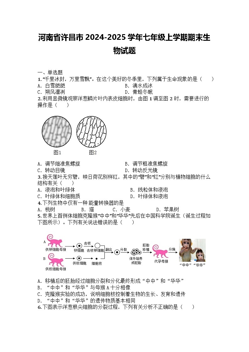 河南省许昌市2024-2025学年七年级上学期期末生物试题第1页