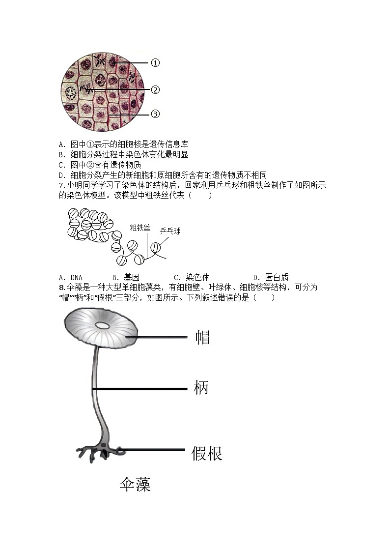 河南省许昌市2024-2025学年七年级上学期期末生物试题第2页