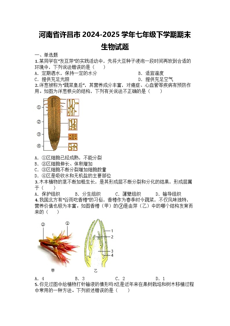 河南省许昌市2024-2025学年七年级下学期期末生物试题第1页