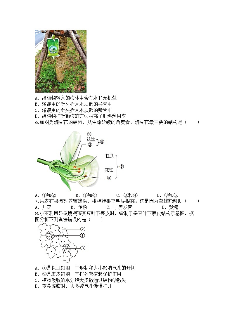河南省许昌市2024-2025学年七年级下学期期末生物试题第2页