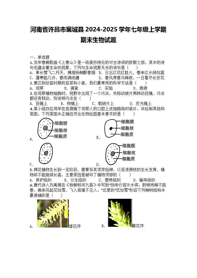 河南省许昌市襄城县2024-2025学年七年级上学期期末生物试题第1页