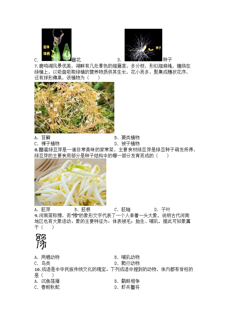 河南省许昌市襄城县2024-2025学年七年级上学期期末生物试题第2页
