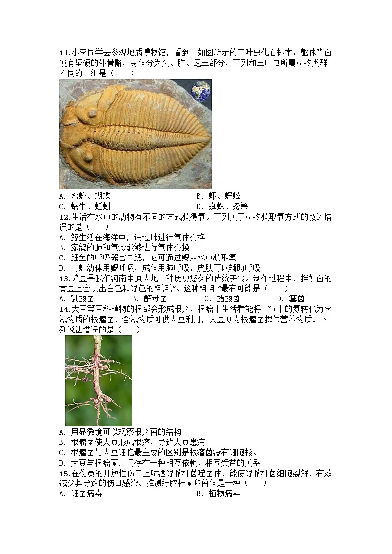 河南省许昌市襄城县2024-2025学年七年级上学期期末生物试题第3页