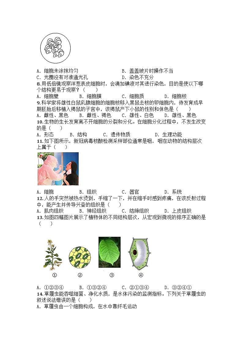 河南省许昌市禹州市2024-2025学年七年级上学期期中生物学试题第2页