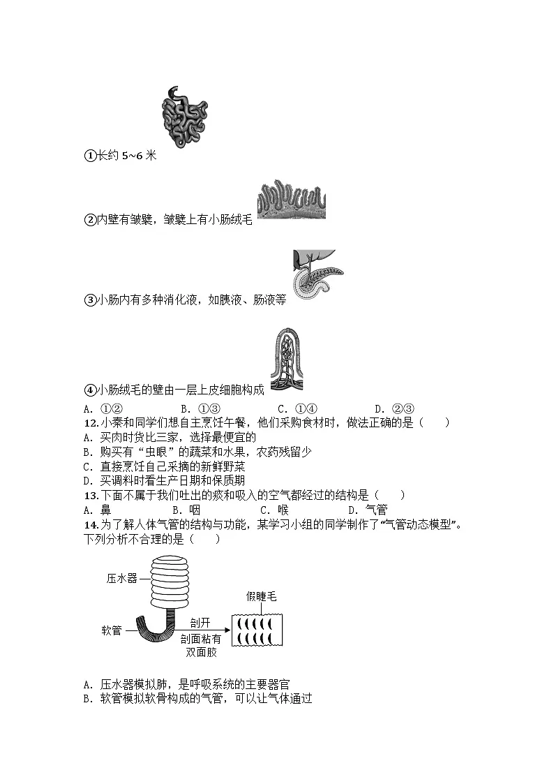 河南省郑州市登封市2024-2025学年七年级下学期期末生物试题第3页