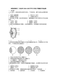 河南省郑州市二七区联考2024-2025学年七年级上学期期末生物试题