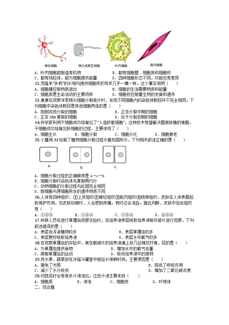 河南省郑州市高新区三校联考2025-2026学年七年级上学期期中生物试题第3页