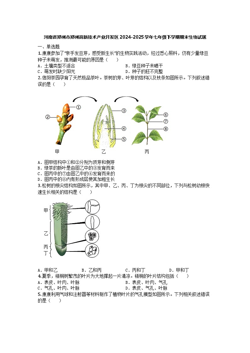 河南省郑州市郑州高新技术产业开发区2024-2025学年七年级下学期期末生物试题第1页