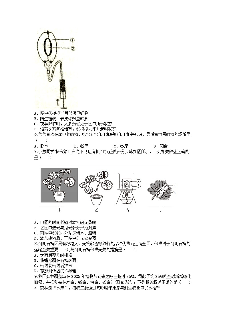 河南省郑州市郑州高新技术产业开发区2024-2025学年七年级下学期期末生物试题第2页