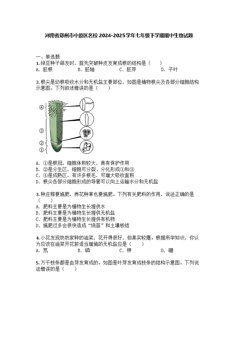 河南省郑州市中原区名校2024-2025学年七年级下学期期中生物试题第1页