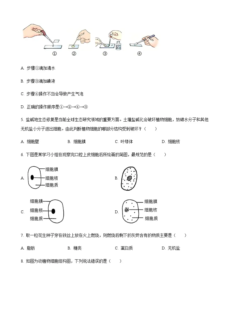 广东省广州市番禺区2024-2025学年七年级上学期期末生物试题(含答案)第2页