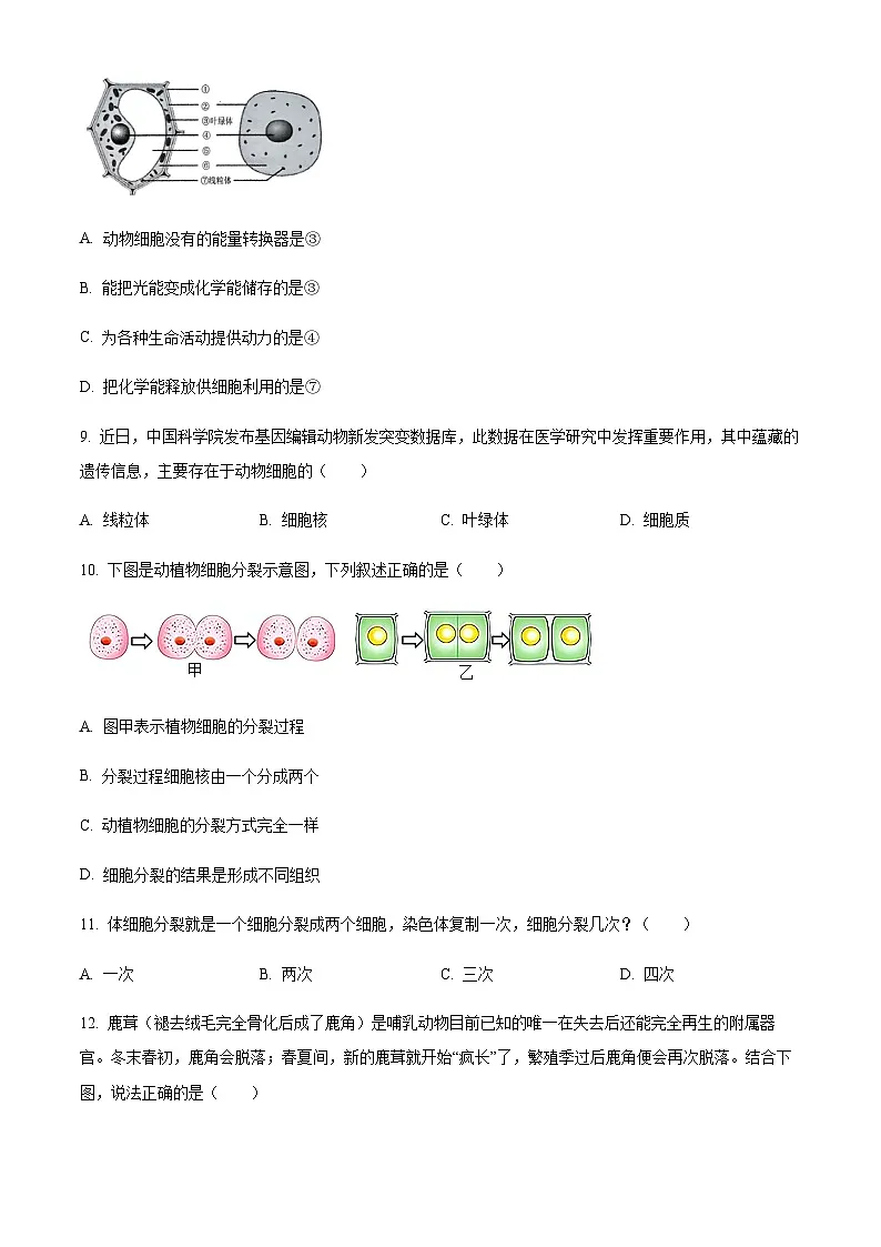 广东省广州市番禺区2024-2025学年七年级上学期期末生物试题(含答案)第3页