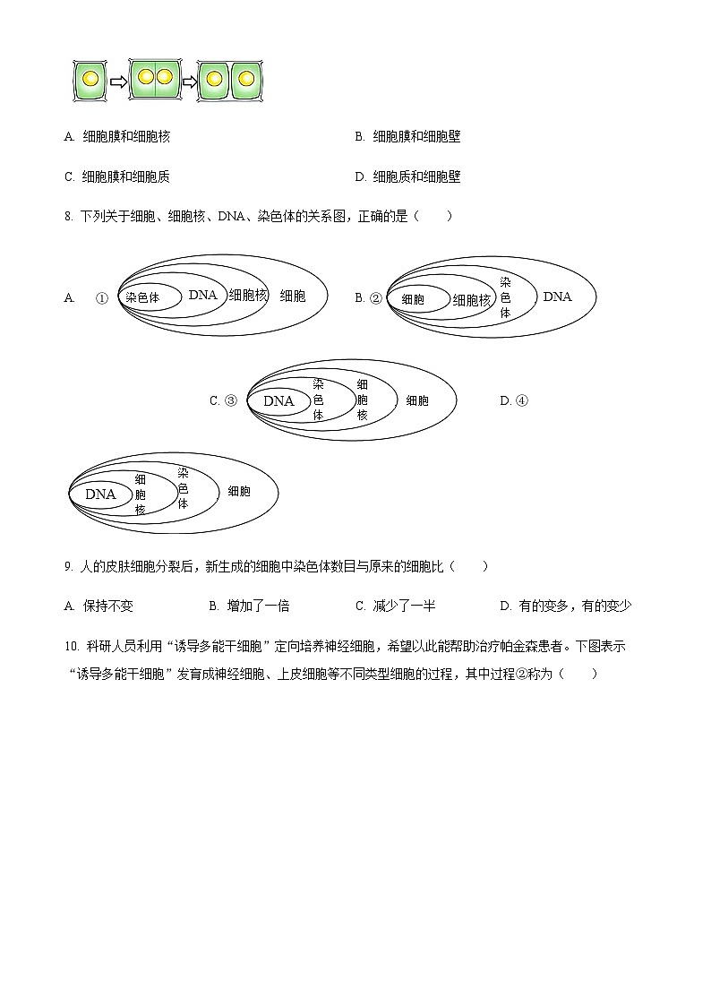 广东省广州市海珠区2024-2025学年七年级上学期期末生物试题(含答案)第3页