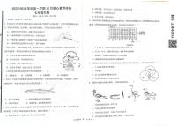 山东省枣庄市峄城区部分学校2025-2026学年七年级上学期12月月考生物试题
