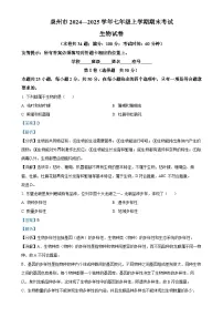 福建省泉州市七年级上学期期末生物试题（解析版）-A4