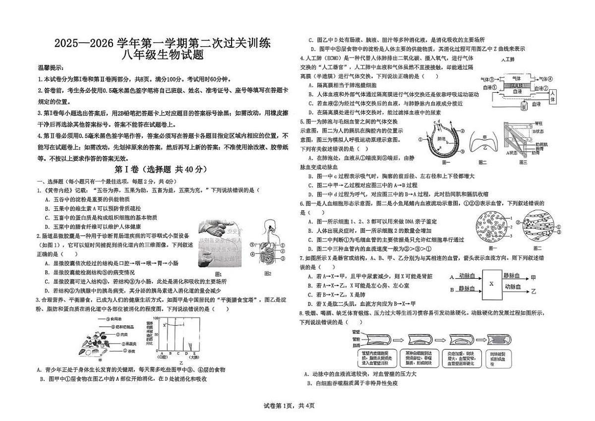 山东省滨州市滨城区2025—2026学年 八年级上学期第二次过关训练生物试题(月考)第1页