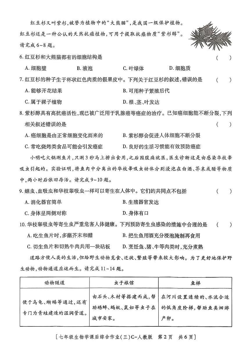 陕西省咸阳市永寿县上邑中学2025-2026学年七年级上学期课后综合作业(三)生物学试题(月考)第2页