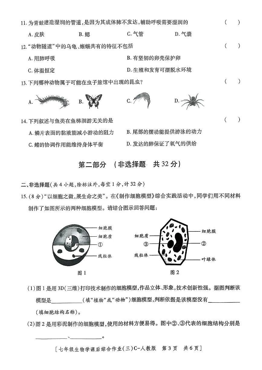 陕西省咸阳市永寿县上邑中学2025-2026学年七年级上学期课后综合作业(三)生物学试题(月考)第3页