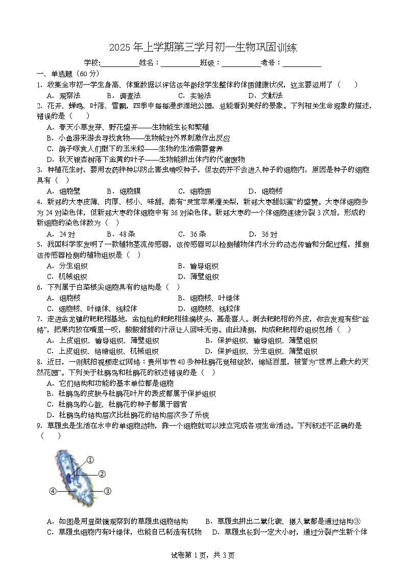 四川省自贡市荣县中学校2025-2026学年七年级上学期期末模拟考试生物试题第1页