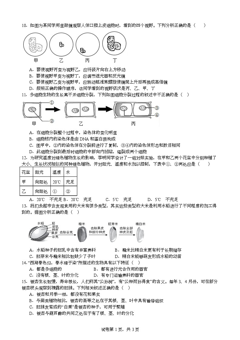 四川省自贡市荣县中学校2025-2026学年七年级上学期期末模拟考试生物试题第2页