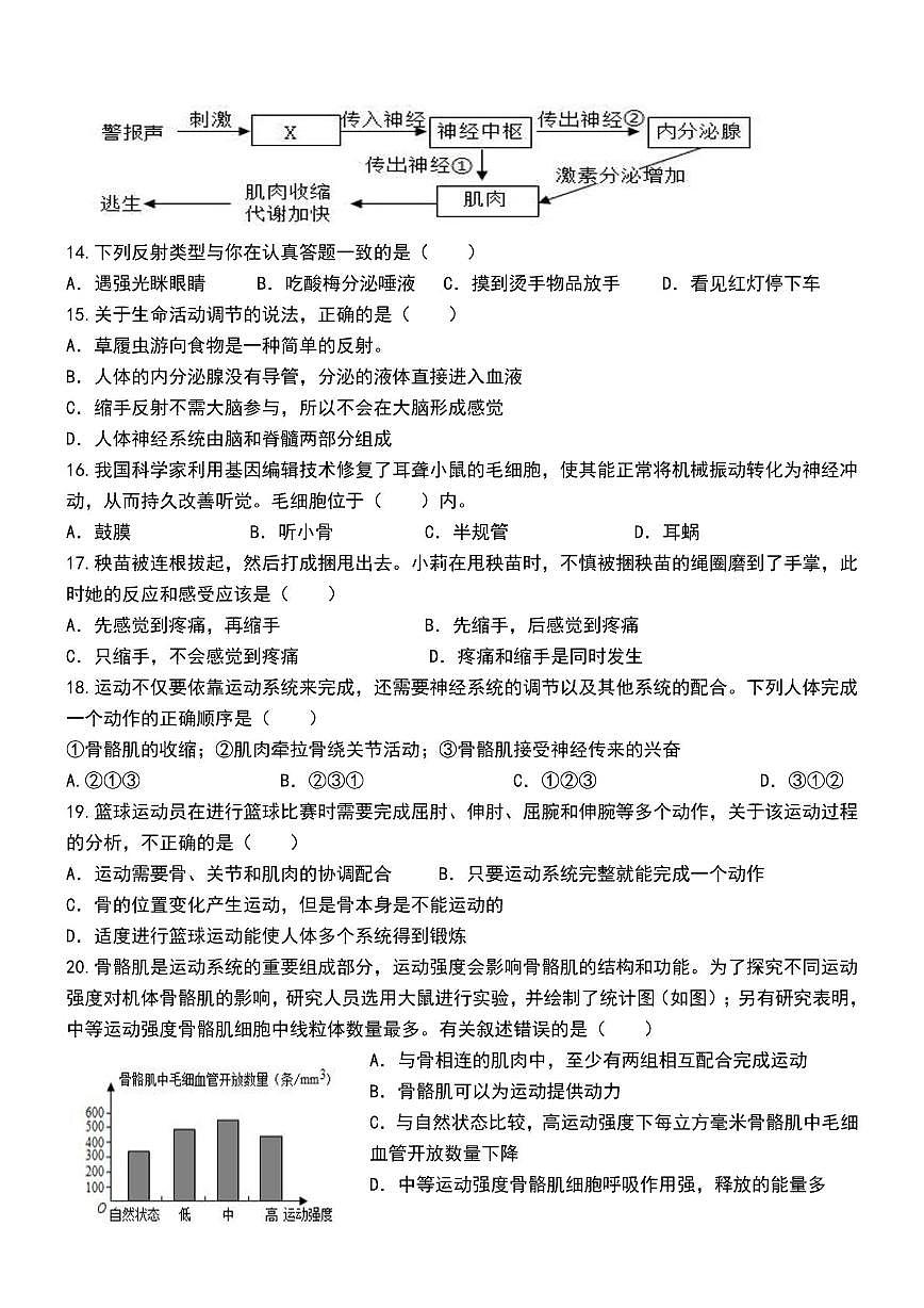 山东省德州市齐河县三校联考2025-2026学年八年级上学期第二次阶段性总结生物试题(月考)第3页