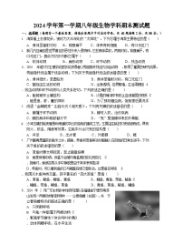 广东省广州市番禺区2024-2025学年八年级上学期期末测试生物试卷（含答案）