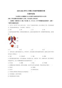 2025-2026学年辽宁省沈阳市和平区八年级上学期期末生物试题（有答案）