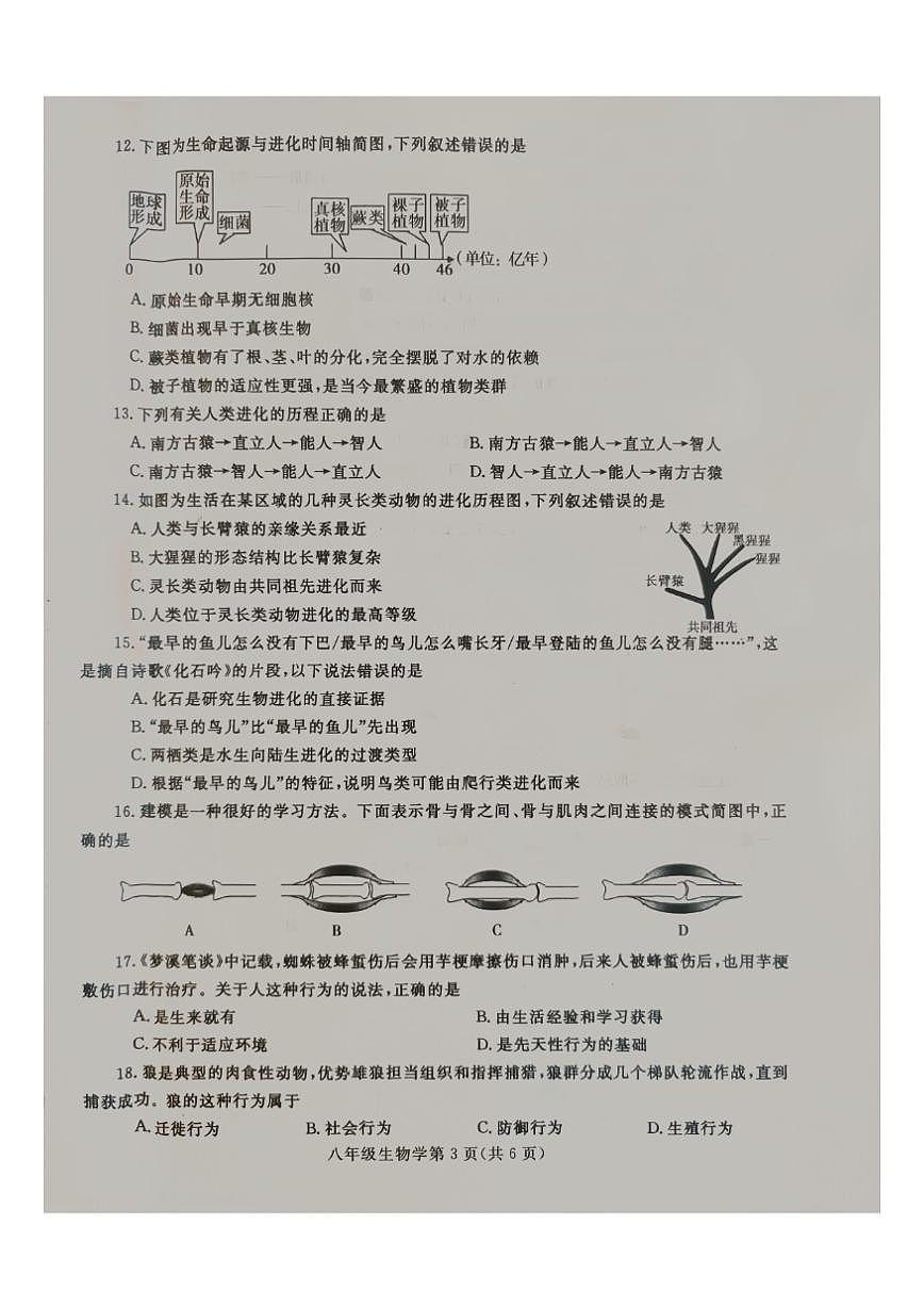 2024-2025学年河南省平顶山市鲁山县上学期八年级期中生物学试卷(有答案)第3页