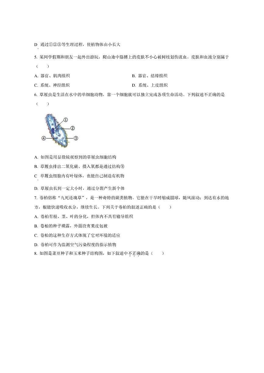 2025-2026学年西藏自治区日喀则市昂仁县七年级上学期期末生物试题(有答案)第2页