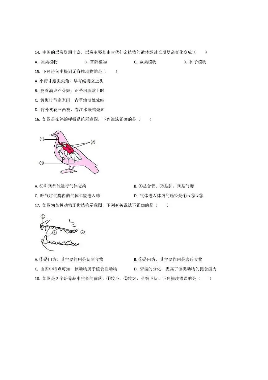 2025-2026学年吉林省松原市七年级上学期期末测试生物试卷(有答案)第3页