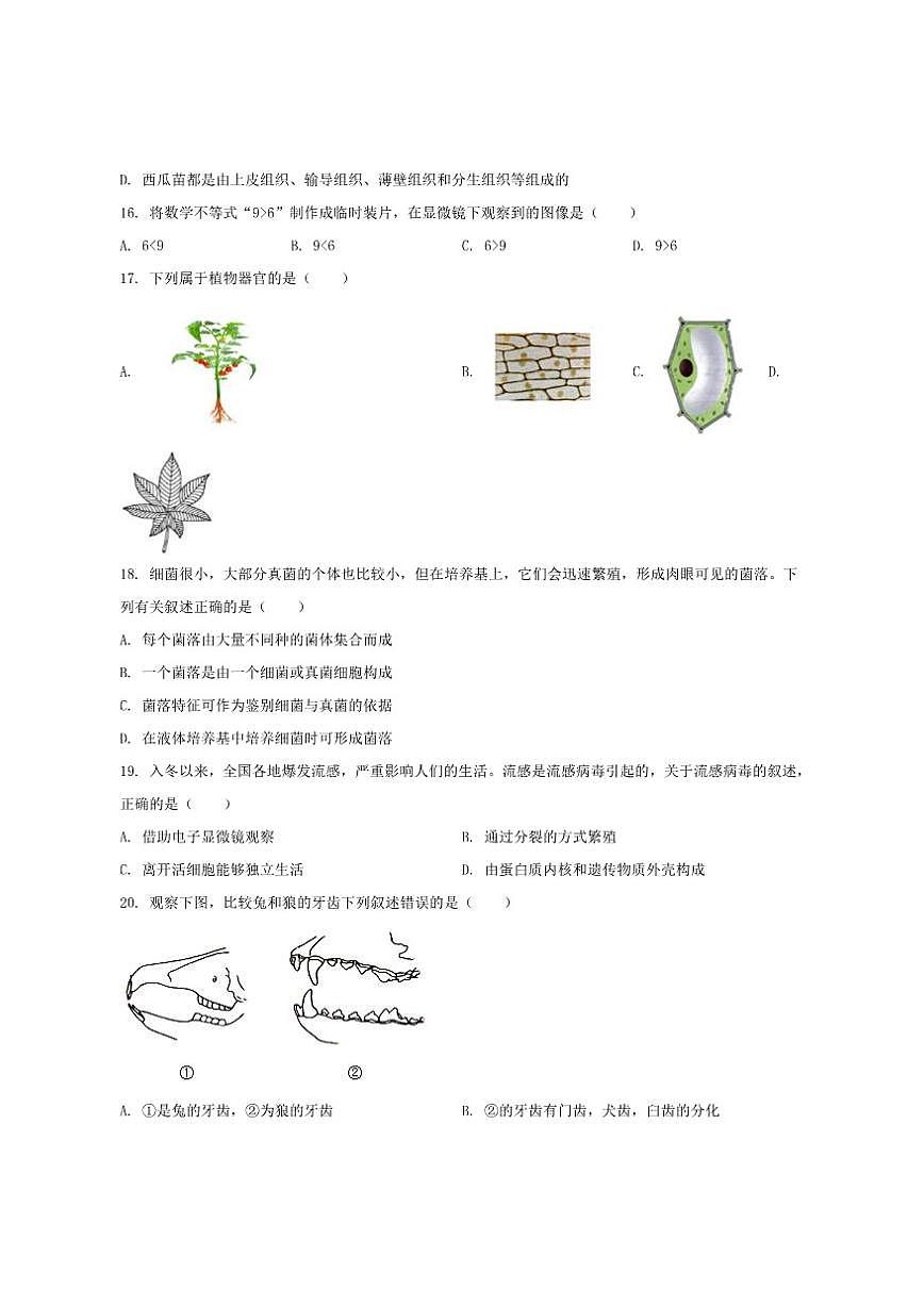 2024-2025学年山东省德州市乐陵市七年级上学期期末考试生物试卷(有答案)第3页