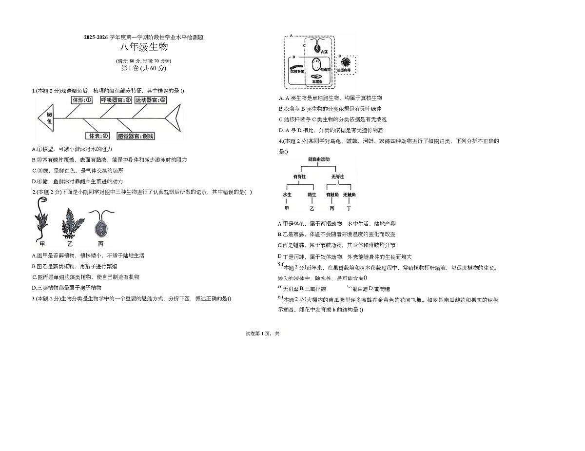 山东省青岛市城阳区第十三中学2025-2026学年八年级上学期1月期末生物试题第1页