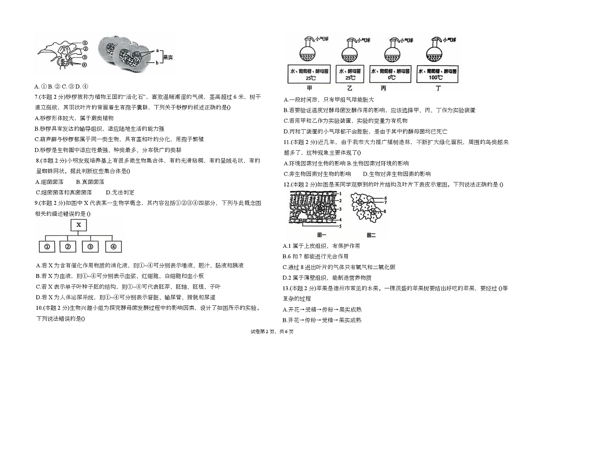 山东省青岛市城阳区第十三中学2025-2026学年八年级上学期1月期末生物试题第2页