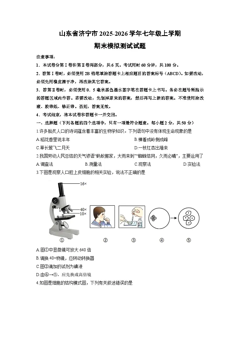 2025-2026学年山东省济宁市七年级上学期期末模拟测试生物试卷(学生版)第1页