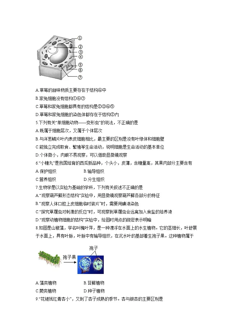 2025-2026学年山东省济宁市七年级上学期期末模拟测试生物试卷(学生版)第2页