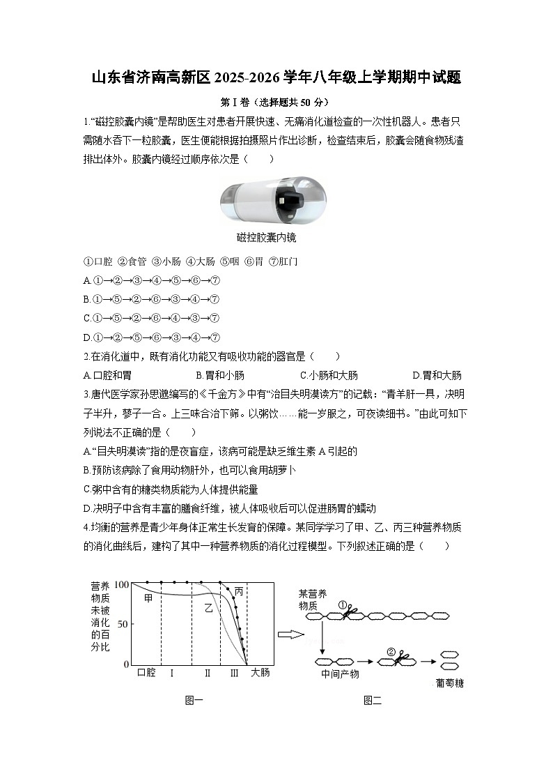 2025-2026学年山东省济南高新区八年级上学期期中生物试卷(学生版)第1页