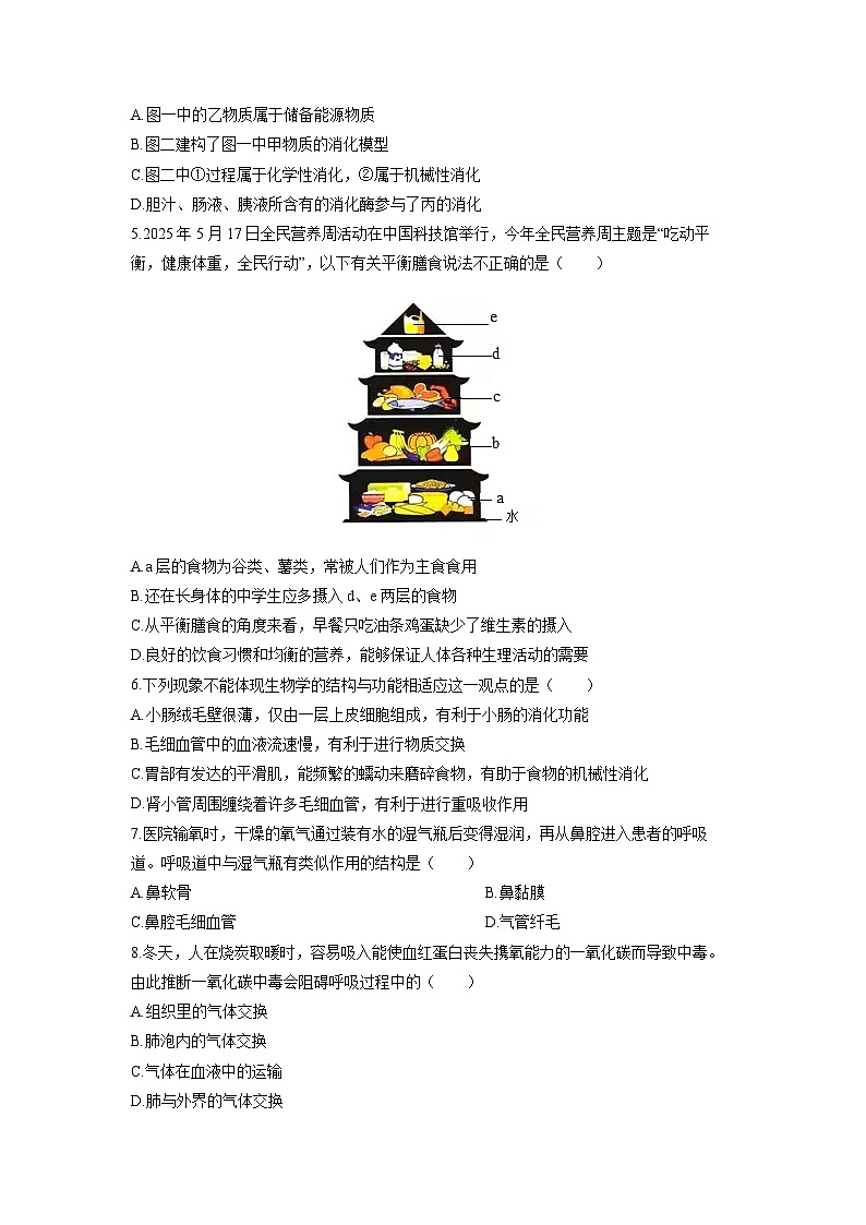 2025-2026学年山东省济南高新区八年级上学期期中生物试卷(学生版)第2页